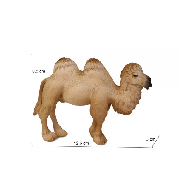 Camelus bactrianus solid model highly detail plastic PVC wild animal figure toy