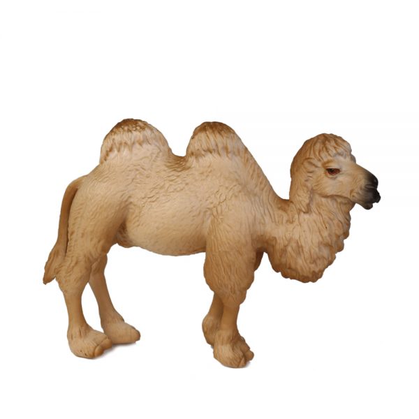 Camelus bactrianus solid model highly detail plastic PVC wild animal figure toy