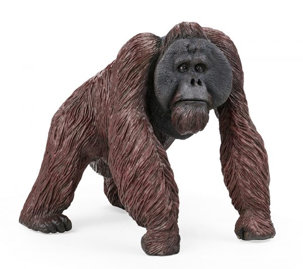 Soft plastic model vinyl toy stuffed cotton animal