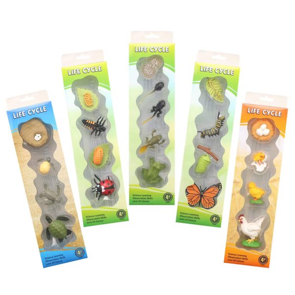 Mini plastic Butterfly turtle frog chicken Ladybug animal toy life cycle montessori figures