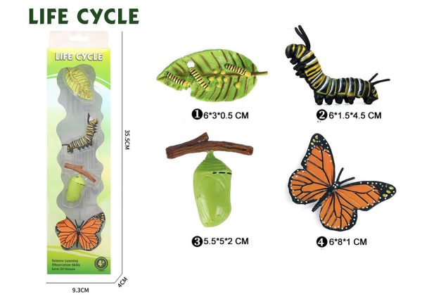 Mini plastic Butterfly turtle frog chicken Ladybug animal toy life cycle montessori figures
