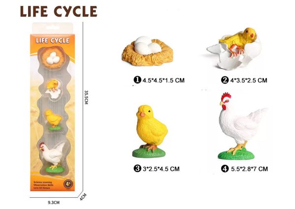 Mini plastic Butterfly turtle frog chicken Ladybug animal toy life cycle montessori figures