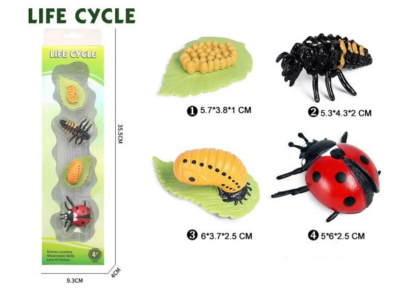 Mini plastic Butterfly turtle frog chicken Ladybug animal toy life cycle montessori figures