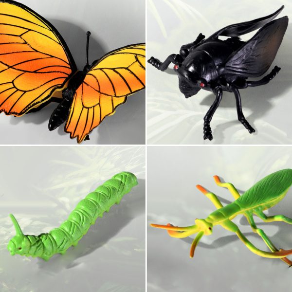 Beetle mantis model insect pvc toy plastic butterfly